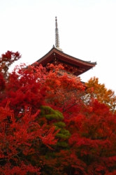京都