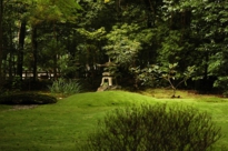 苔寺