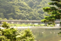 渡月橋
