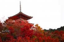 清水寺紅葉