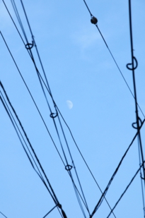 DSC_0110.JPG